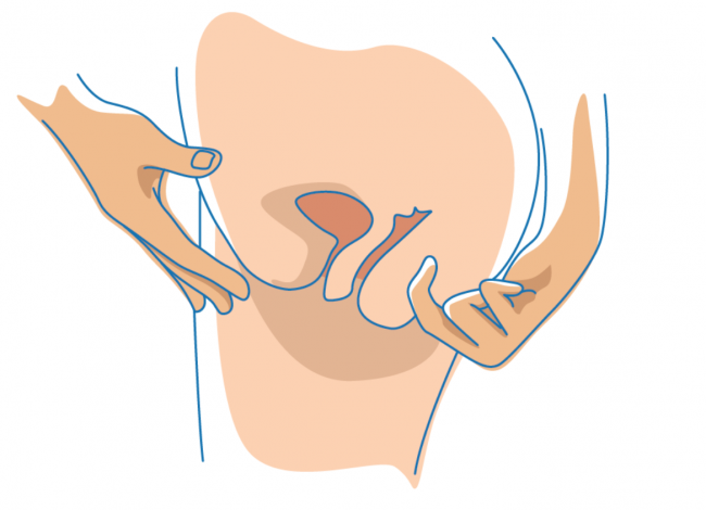 Entrenamiento anal para principiantes